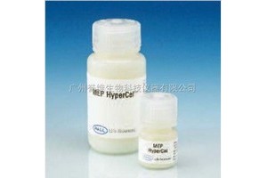 MEP HyperCel ģʽϿProtein AG