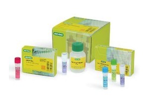 普通PCR试剂 bio-rad