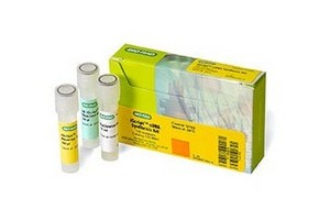 bio-rad 反转录试剂