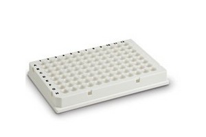 bio-rad PCR耗材-96孔板