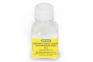 bio-rad层析填料-抗体纯化介质