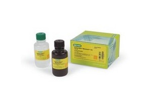 biorad蛋白印迹检测系列-化学发光底物