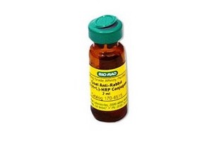 bio-rad蛋白印迹检测系列-酶联二抗