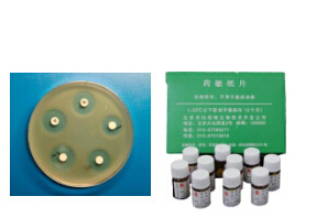 药敏纸片