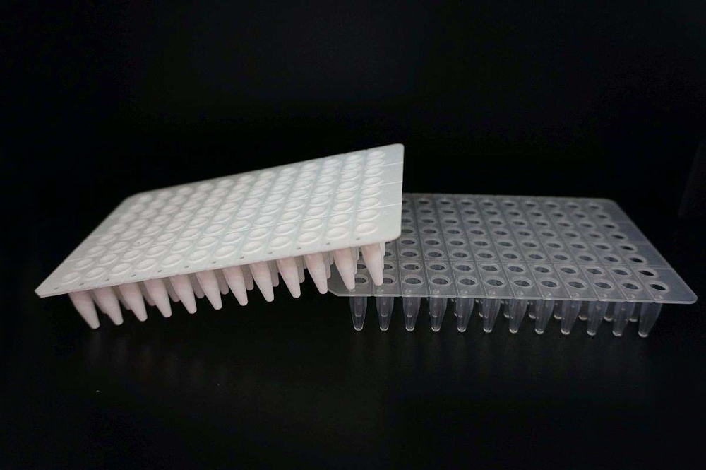 Beebio PCR板，0.1mL／0.2 mL，白色/透明/磨砂