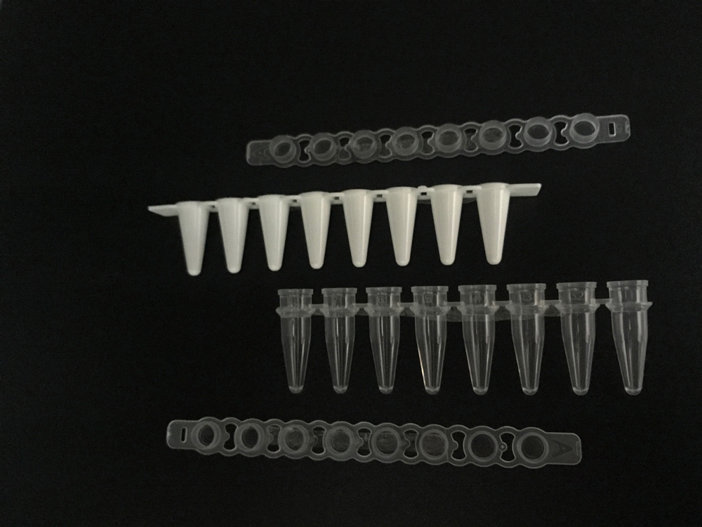 Beebio 8联PCR管，0.1mL／0.2 mL，白色/透明/磨砂，含光学平盖