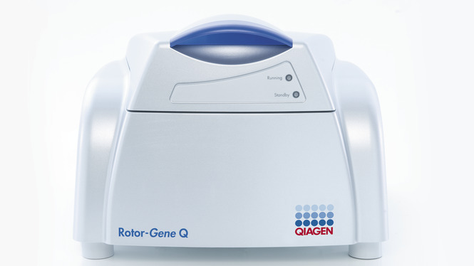 Rotor-Gene QʵʱӫⶨPCR