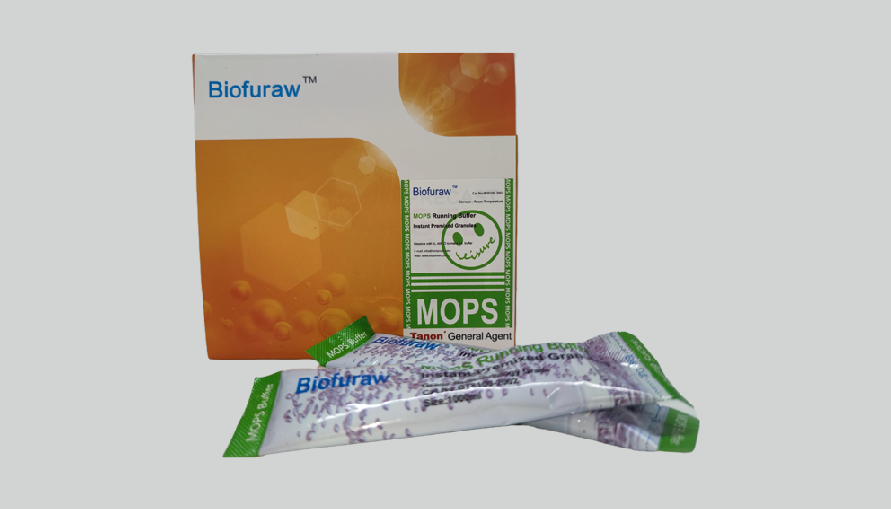 Biofuraw™ MOPS Running Buffer ӾҺ