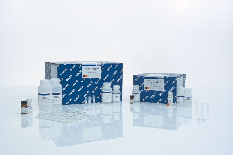 QIAamp DNA Blood Mini Kit (250)ѪҺDNAȡԼ