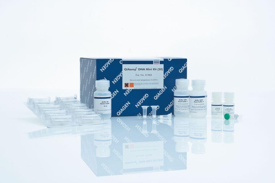 QIAamp DNA Mini Kit (50)DNAȡԼ