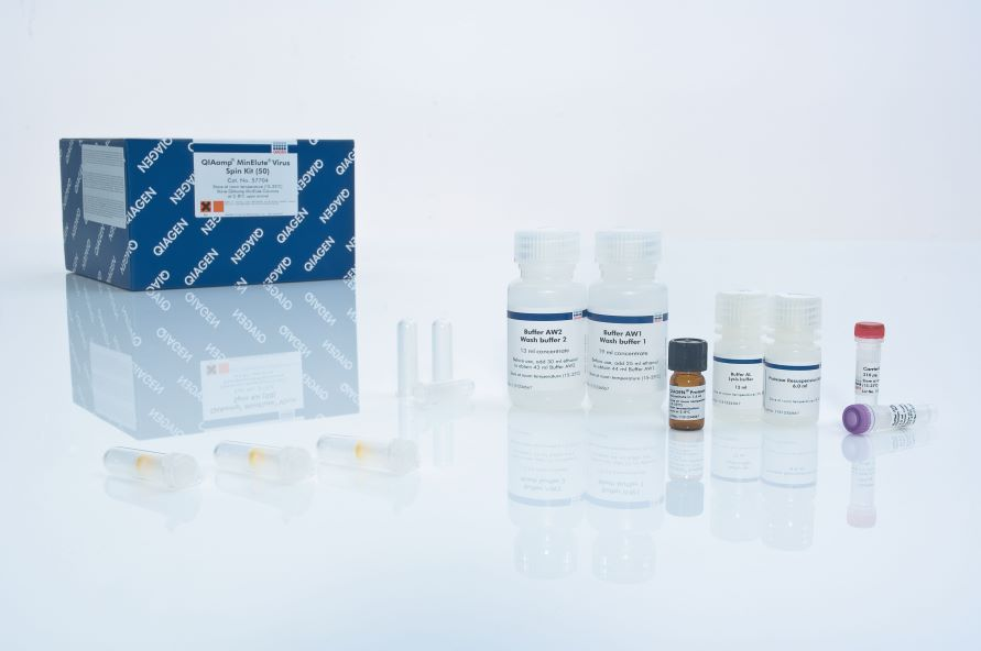 QIAamp MinElute Virus Spin Kit (50)DNARNAԼ