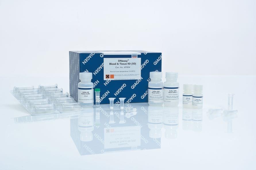 DNeasy Blood & Tissue Kit (50)ѪҺ/֯DNAȡԼ