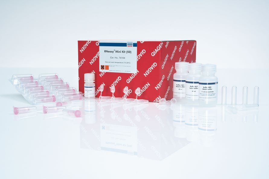 RNeasy Mini Kit (50)RNAȡԼ