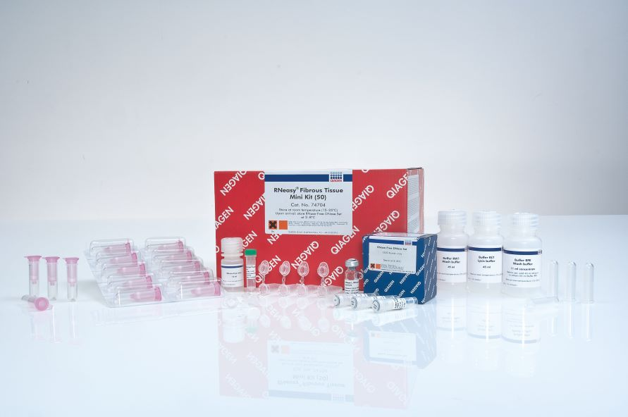RNeasy Fibrous Tissue Mini Kit (50) ά֯RNAȡ