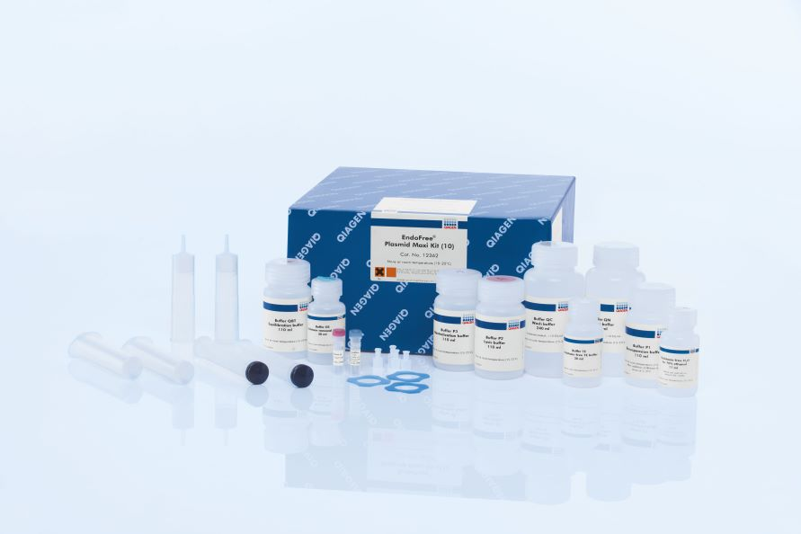 EndoFree Plasmid Maxi Kit (10)