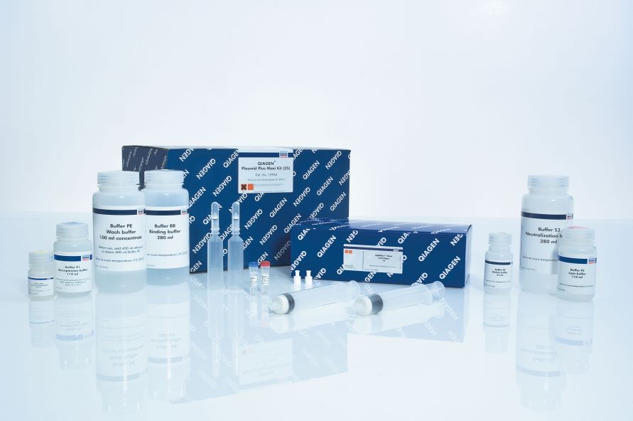 QIAGEN Plasmid Plus Maxi Kit (25)ٸͨȡԼ