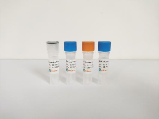 Genkern™ ScriptIII RT Mix with gDNA Remover