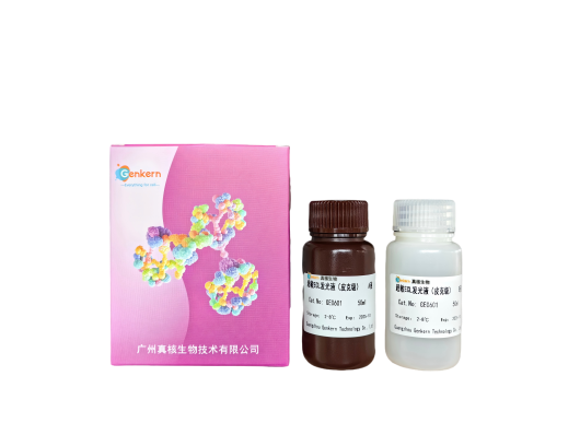 超敏ECL发光液