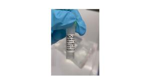 CRISPR RNA