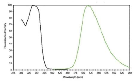 粒子標(biāo)志物光譜信息