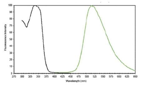 粒子标志物光谱信息